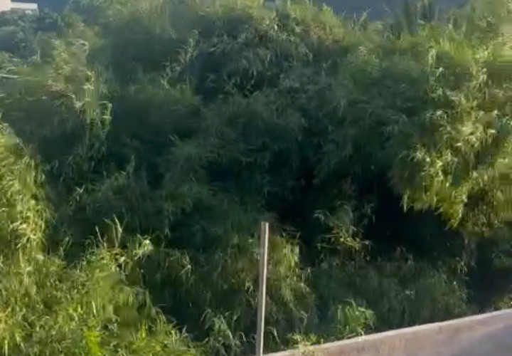 ĐẤT ĐẸP - GIÁ TỐT - Cần bán nhanh lô đất mặt đường Thành Công, xã Xuân Trường, Xuân Lộc, Đồng Nai