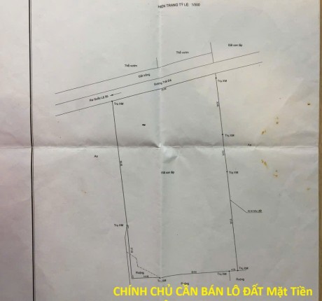 CHÍNH CHỦ CẦN BÁN LÔ ĐẤT Mặt Tiền Đường Ông Niệm 1, Xã Phong Phú, Bình Chánh, Hồ Chí Minh