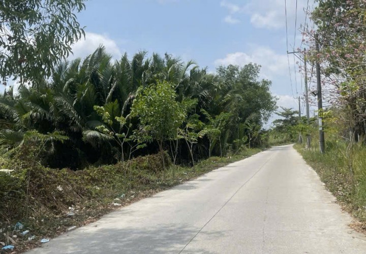 CHÍNH CHỦ CẦN BÁN LÔ ĐẤT Mặt Tiền Đường Ông Niệm 1, Xã Phong Phú, Bình Chánh, Hồ Chí Minh