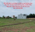 ĐẤT SIÊU ĐẸP Cơ hội đầu tư hiếm có tại Xã Nam Phú, Tiền Hải, Thái Bình (nay xã Hưng Phú, HƯNG YÊN)