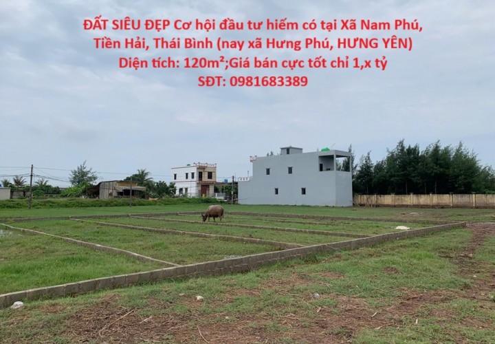 ĐẤT SIÊU ĐẸP Cơ hội đầu tư hiếm có tại Xã Nam Phú, Tiền Hải, Thái Bình (nay xã Hưng Phú, HƯNG YÊN)