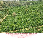 ĐẤT ĐẸP – GIÁ TỐT  – CHÍNH CHỦ CẦN BÁN TẠI Đắk Sắk , Đắk Mil, Đắk Nông.