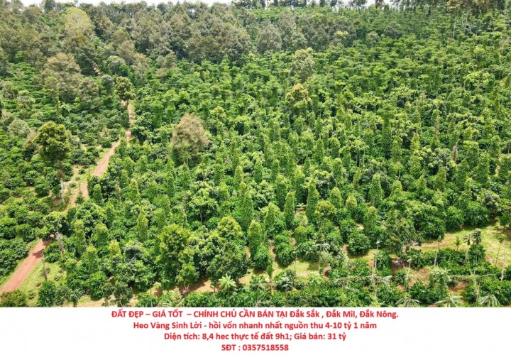 ĐẤT ĐẸP – GIÁ TỐT  – CHÍNH CHỦ CẦN BÁN TẠI Đắk Sắk , Đắk Mil, Đắk Nông.