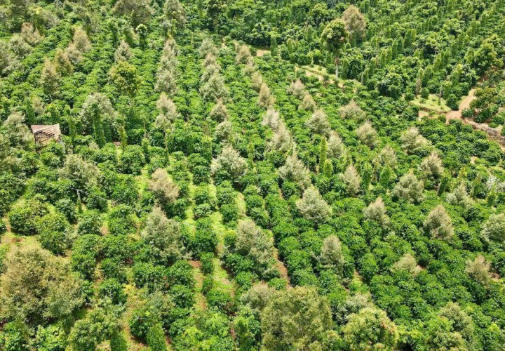 ĐẤT ĐẸP – GIÁ TỐT  – CHÍNH CHỦ CẦN BÁN TẠI Đắk Sắk , Đắk Mil, Đắk Nông.