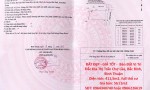 ĐẤT ĐẸP - GIÁ TỐT -  Bán Đất Vị Trí Đắc Địa Thị Trấn Chợ Lầu, Bắc Bình, Bình Thuận