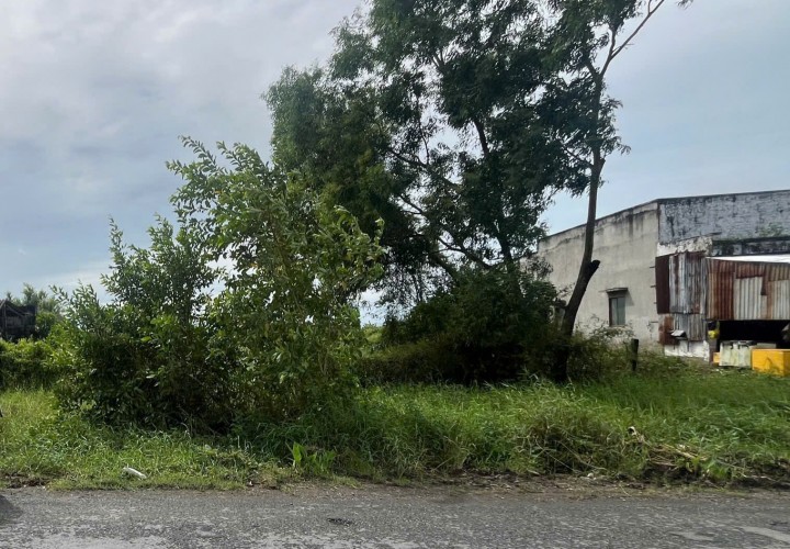 ĐẤT ĐẸP – GIÁ TỐT  – CHÍNH CHỦ CẦN BÁN Tại An Trạch Đông, Vĩnh Trạch, Bạc Liêu, Bạc Liêu