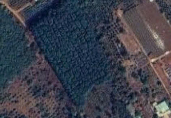 ĐẤT ĐẸP- GIÁ TỐT chính chủ cần bán nhanh lô đất  tại huyện Chư Prong tỉnh Gia Lai