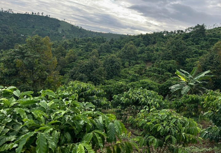 HOT HOT - CẦN BÁN LÔ ĐẤT TẠI  Đất tại thôn 7 xã quảng Khê .Huyện  Đăk Glong Đăk Nông