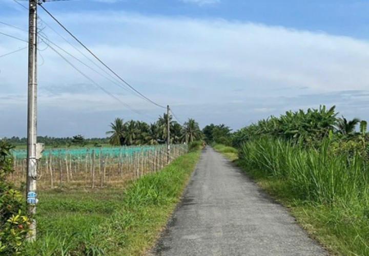 ĐẤT CHÍNH CHỦ - GIÁ TỐT Vị Trí Hòa Lạc C, Lương Hòa A, Châu Thành, Trà Vinh