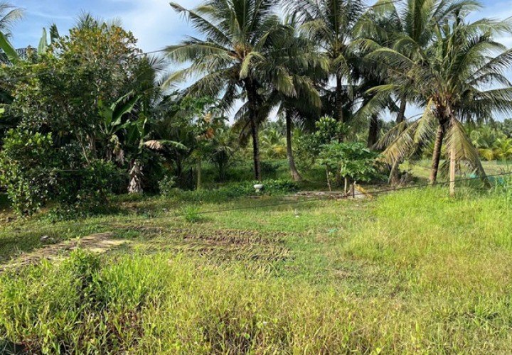 ĐẤT CHÍNH CHỦ - GIÁ TỐT Vị Trí Hòa Lạc C, Lương Hòa A, Châu Thành, Trà Vinh