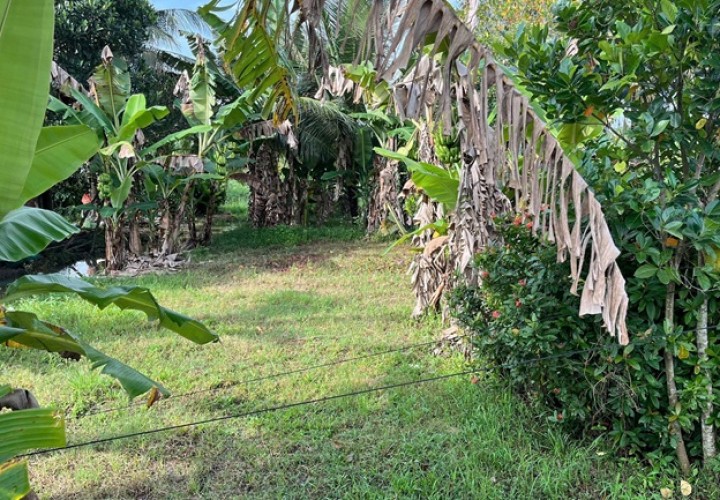 ĐẤT CHÍNH CHỦ - GIÁ TỐT Vị Trí Hòa Lạc C, Lương Hòa A, Châu Thành, Trà Vinh