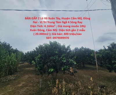 BÁN GẤP 2 Lô Xã Xuân Tây, Huyện Cẩm Mỹ, Đồng Nai - Vị Trí Trung Tâm Ngã 4 Sông Ray