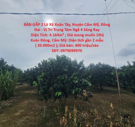 BÁN GẤP 2 Lô Xã Xuân Tây, Huyện Cẩm Mỹ, Đồng Nai - Vị Trí Trung Tâm Ngã 4 Sông Ray