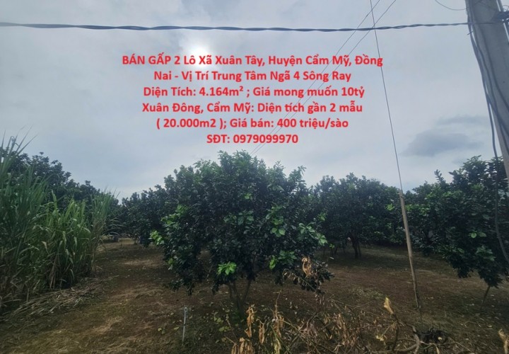 BÁN GẤP 2 Lô Xã Xuân Tây, Huyện Cẩm Mỹ, Đồng Nai - Vị Trí Trung Tâm Ngã 4 Sông Ray