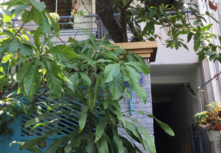 HOT HOT - CẦN BÁN CĂN NHÀ  VỊ TRÍ ĐẮC ĐỊA HẺM LÊ QUANG SUNG Phường 6, Quận 6, HCM