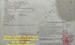 ĐẤT ĐẸP – GIÁ TỐT - CẦN BÁN Nhanh Đất Đẹp Sổ Hồng Full Thổ Cư Xã Lộc An, Bảo Lâm, Lâm Đồng
