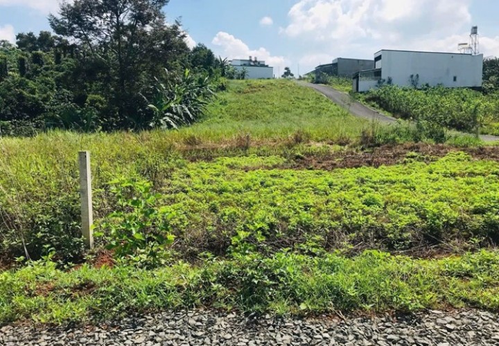 ĐẤT ĐẸP – GIÁ TỐT - CẦN BÁN Nhanh Đất Đẹp Sổ Hồng Full Thổ Cư Xã Lộc An, Bảo Lâm, Lâm Đồng