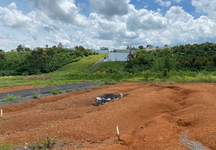 ĐẤT ĐẸP – GIÁ TỐT - CẦN BÁN Nhanh Đất Đẹp Sổ Hồng Full Thổ Cư Xã Lộc An, Bảo Lâm, Lâm Đồng