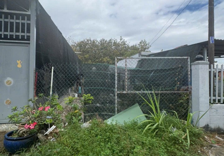 ĐẤT ĐẸP – GIÁ TỐT  – CHÍNH CHỦ CẦN BÁN Đất HXH Tại Đường Cây Gõ, Xã An Phú,  Củ Chi