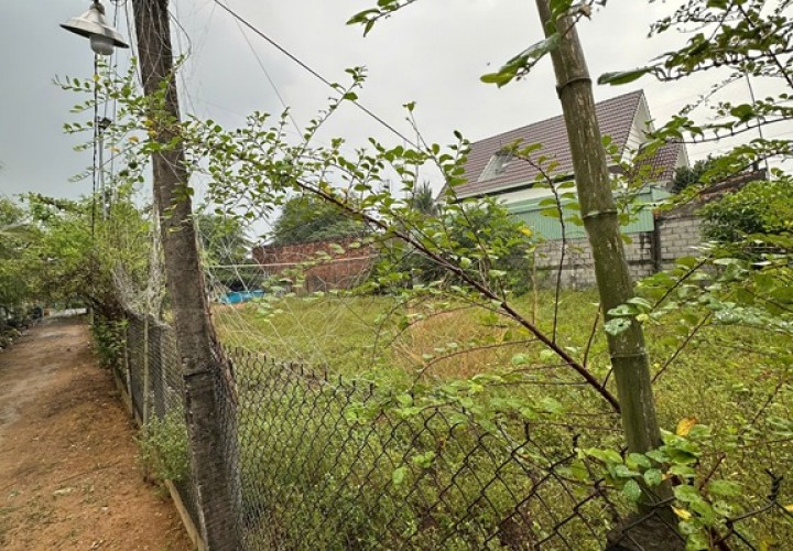 CHÍNH CHỦ Cần Bán Đất Mặt Tiền Tại Ấp Tân thạnh, Xã Tân Hương, Huyện Châu Thành, Tiền Giang.