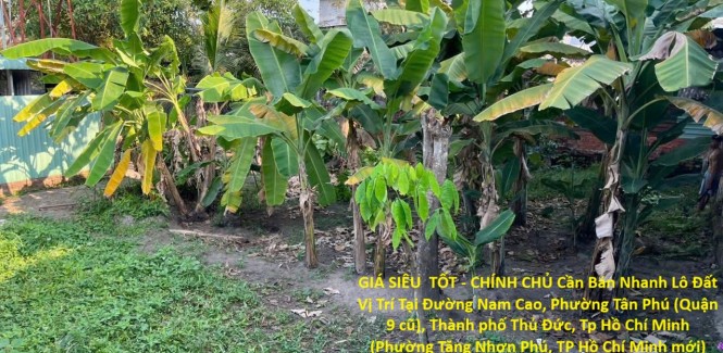 GIÁ SIÊU TỐT - CHÍNH CHỦ Cần Bán Nhanh Lô Đất Vị Trí Tại Thủ Đức, Thành Phố Hồ Chí Minh